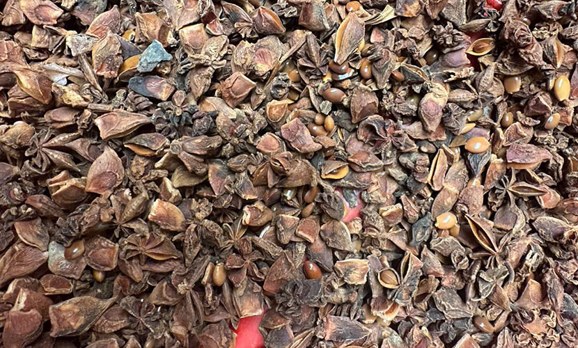 Broken star anise from Vietnam