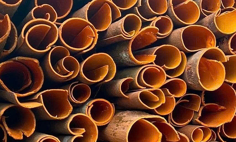 Vietnamese cassia cinnamon