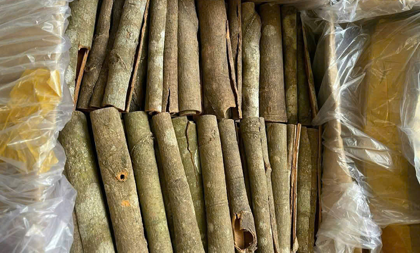 Vietnamese cinnamon tube
