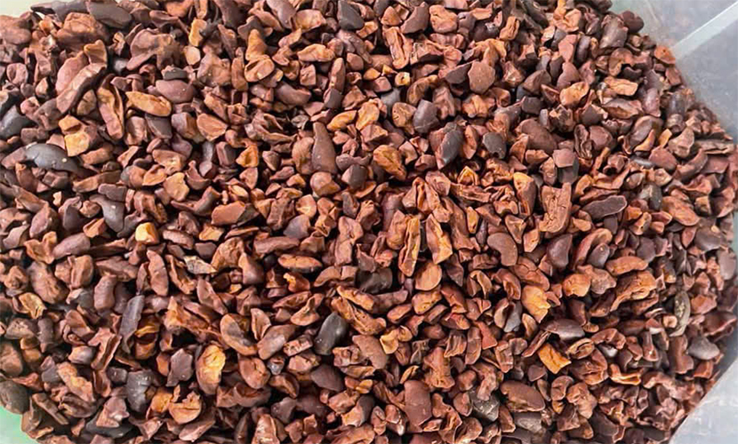 Vietnamese cocoa nibs