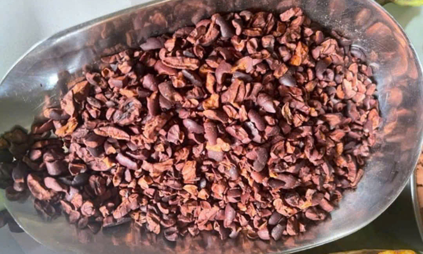 Vietnamese cocoa nibs