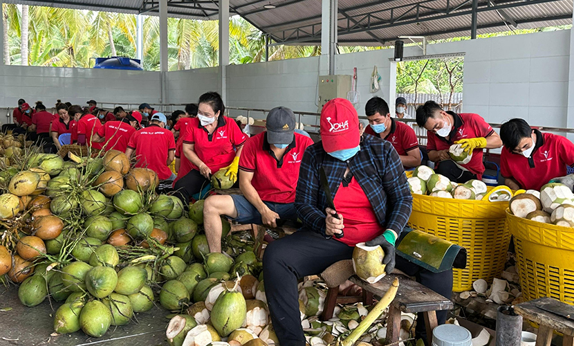 Vietnamese coconut factory