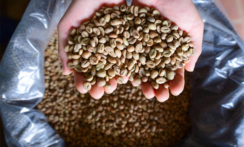 Vietnamese coffee beans