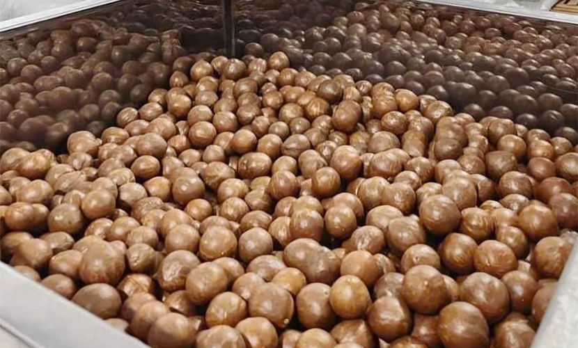Vietnamese exported macadamia