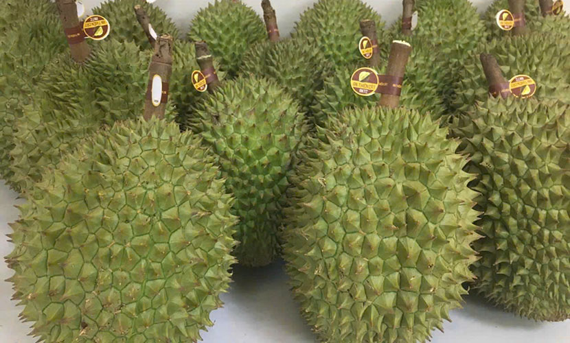 Vietnamese fresh durian