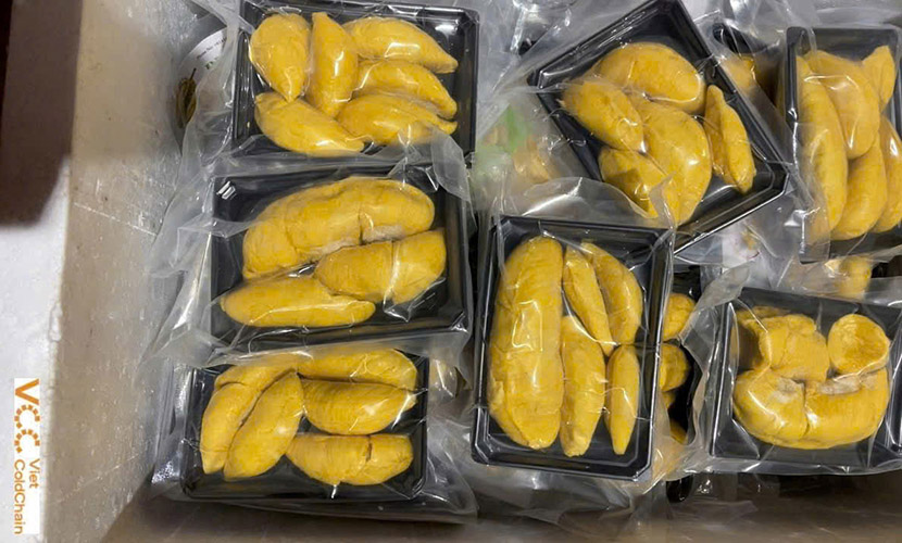 Vietnamese frozen durian