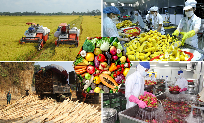 Vietnamese horticultural exports