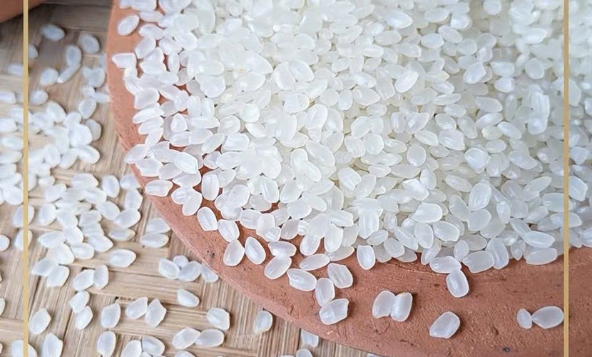 Japonica rice from Vietnam
