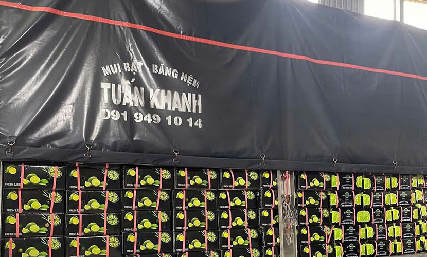 Vietnamese lime boxes