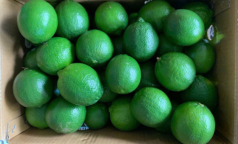 Vietnamese lime exports