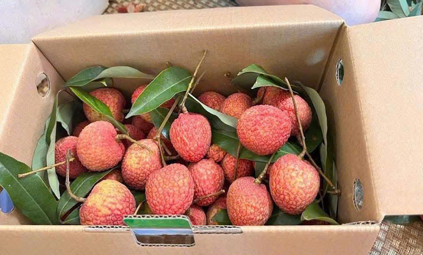 Vietnamese lychee box