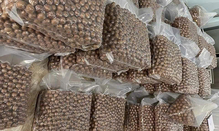 Vietnamese macadamia exports