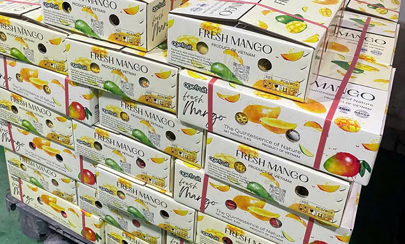 Vietnamese mango carton boxes