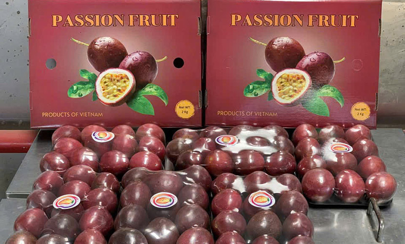 Vietnamese passion fruits