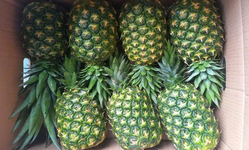 Vietnamese pineapple exports