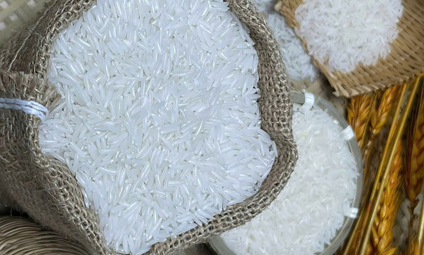 Vietnam's rice exports