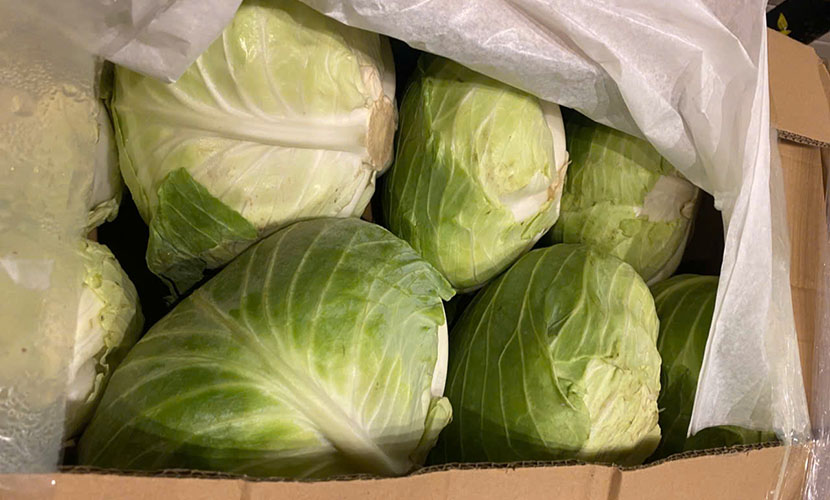 Vietnamese round cabbage