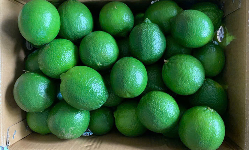 Vietnamese seedless lime box