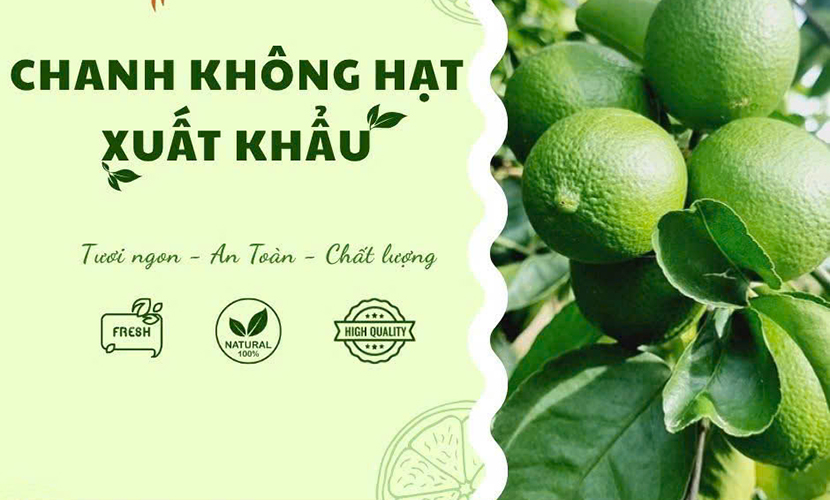 Vietnamese seedless limes