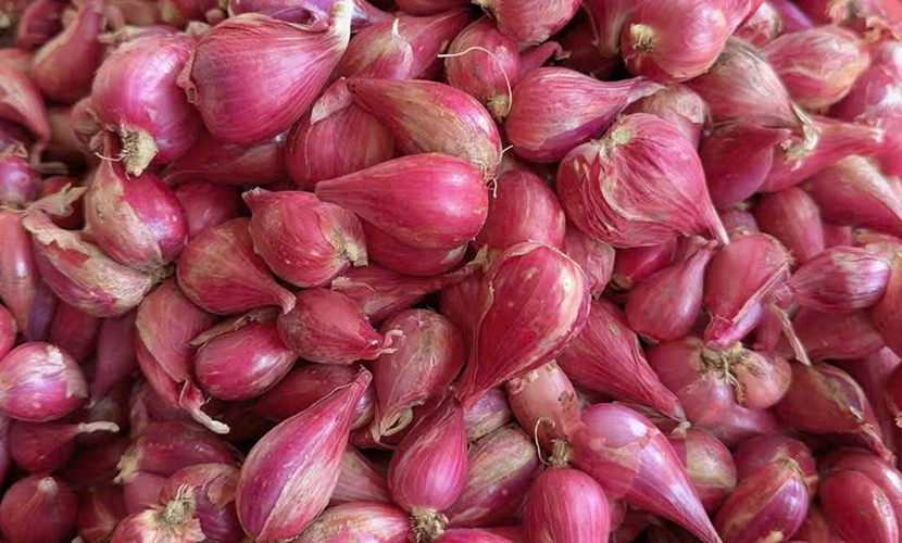 Vietnamese shallot exports