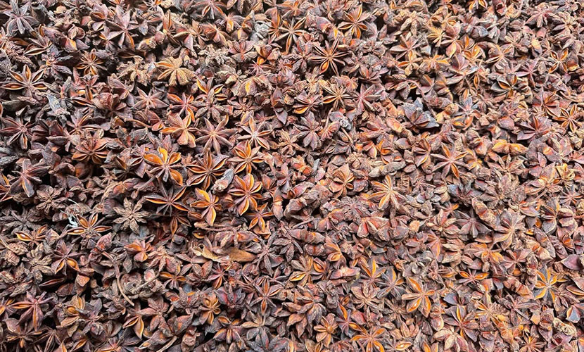 Vietnamese star anise exports