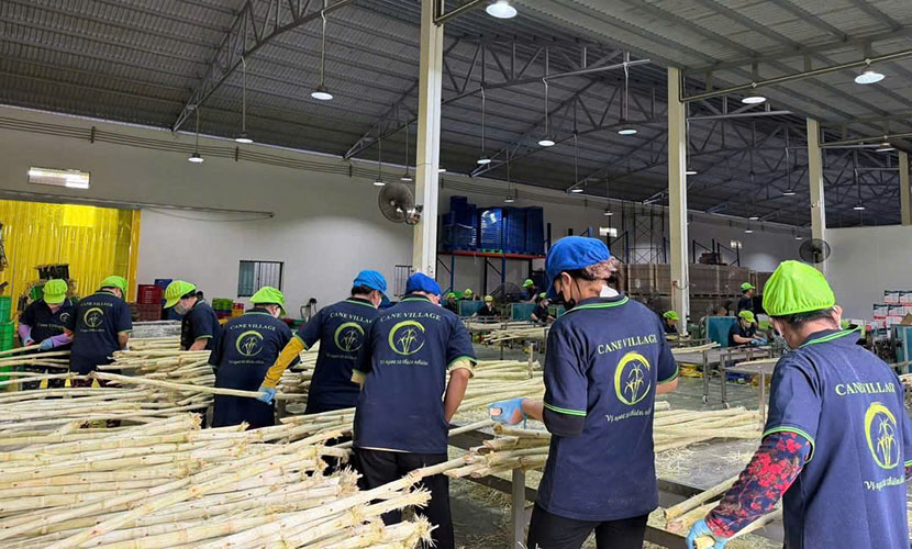 Vietnamese sugarcane factory