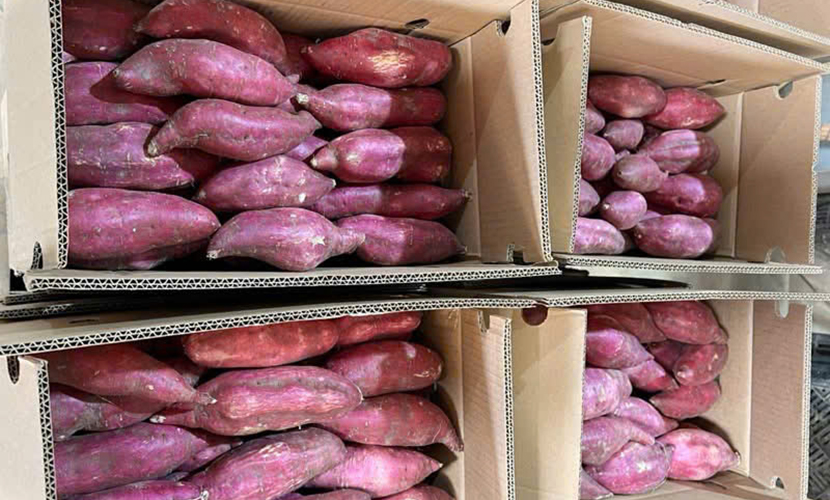 Vietnamese sweet potatoes