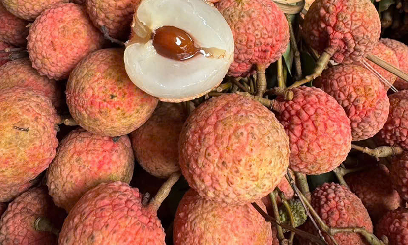 Vietnamese thieu lychees