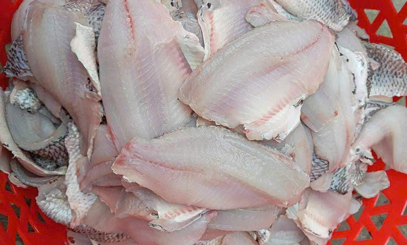 Vietnamese tilapia fillets