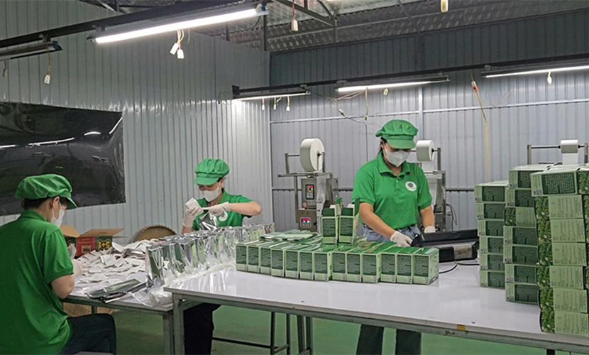 Vietnamese Xa Den factory
