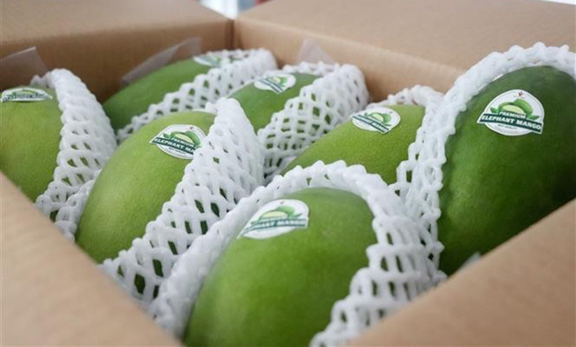 Vietnam's mangoes