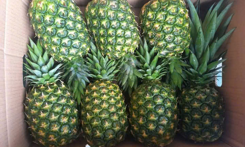Vietnam's pineapple