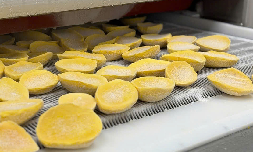 Frozen mango from Vietnam