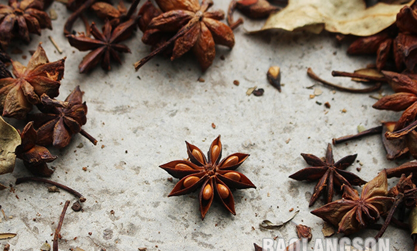 Natural Vietnamese star anise