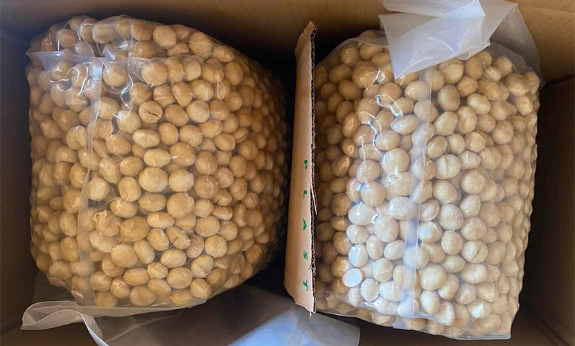 Off-shell macadamia from Vietnam