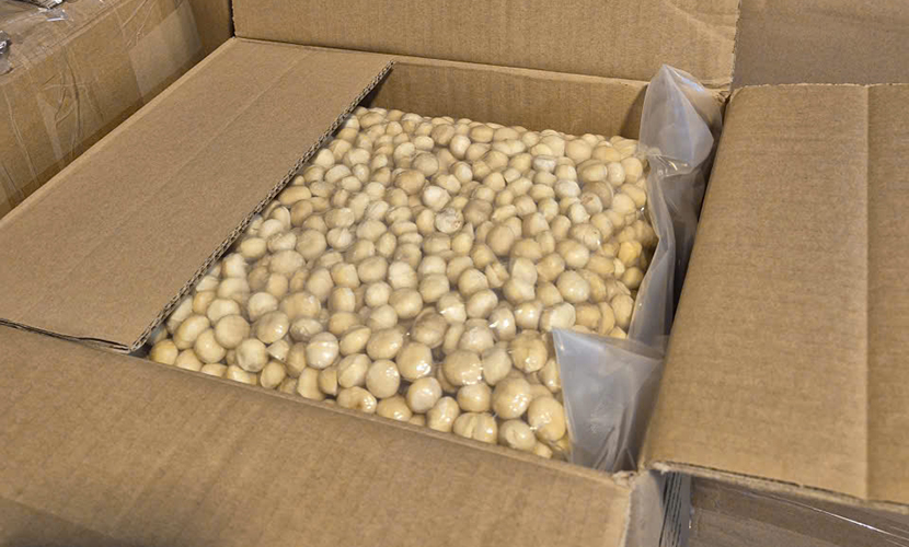 Off-shell macadamia from Vietnam