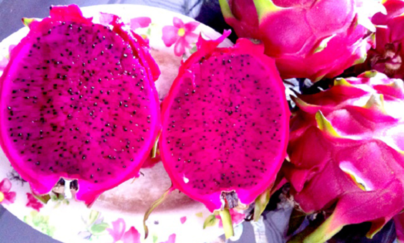 Organic purple-fleshed dragon fruit