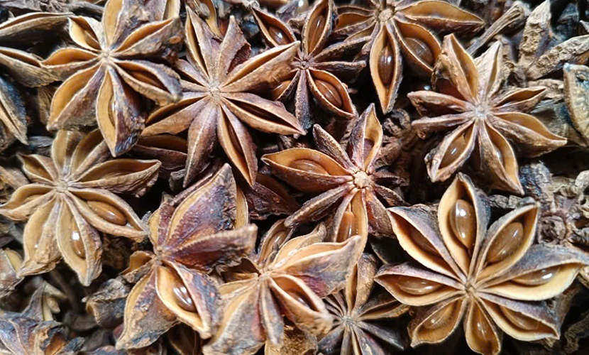 Star anise exports from Vietnam