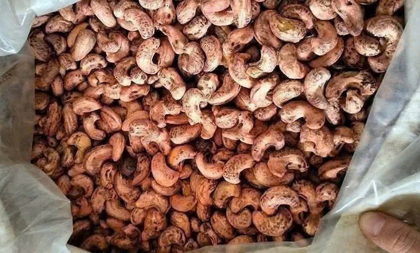 Vietnam's cashew kernels