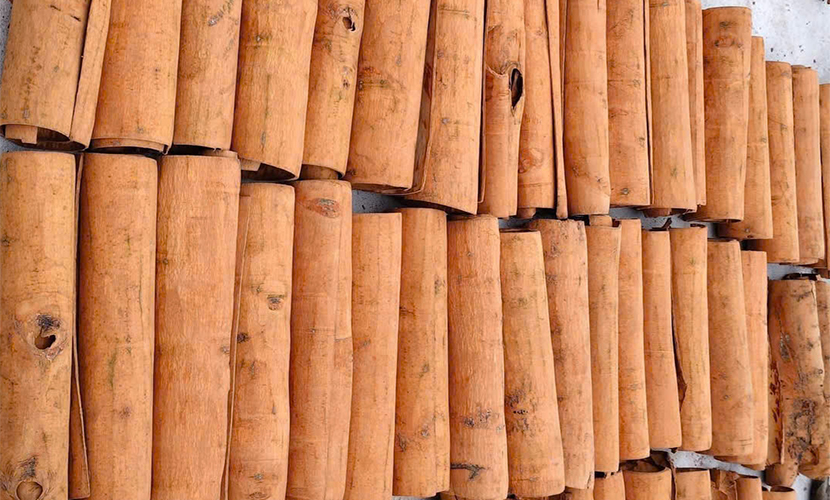Vietnam's cassia cinnamon