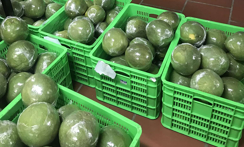 Green-skinned grapefruit from Vietnam