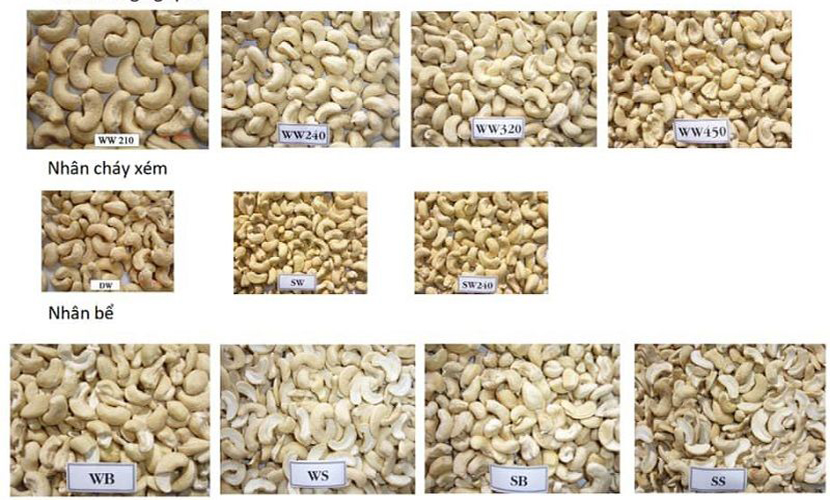 Vietnam-origin cashew nuts