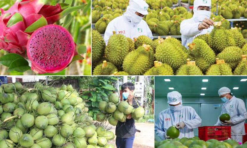 Vietnamese agricultural produce exports