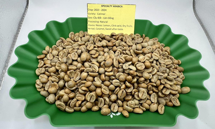 Vietnamese arabica coffee