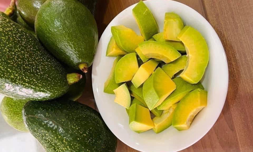 Vietnamese avocado cultivation