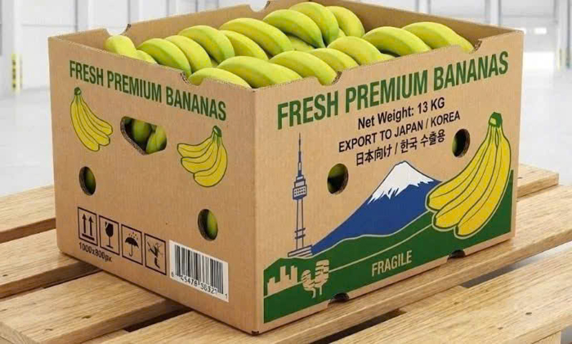 Vietnamese banana exports
