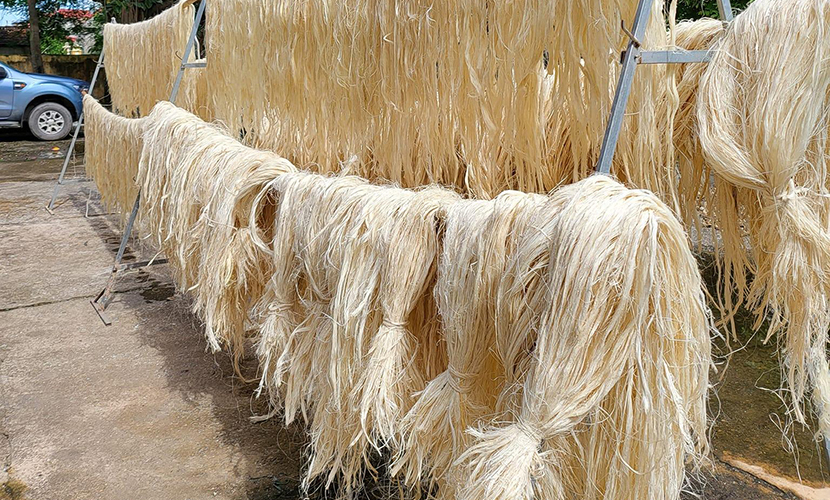 Vietnamese banana fiber