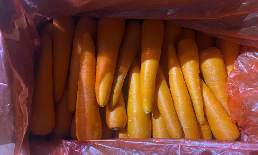 Vietnamese carrot exports