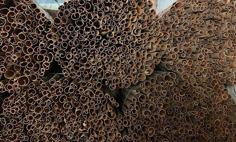 Vietnamese cinnamon cassia tube