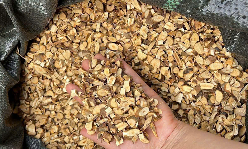 Vietnamese cinnamon cut